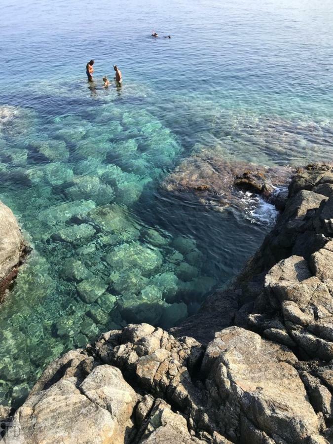 パルミCasa Paradisoアパートメント エクステリア 写真